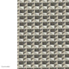 Ordesa | Chenille