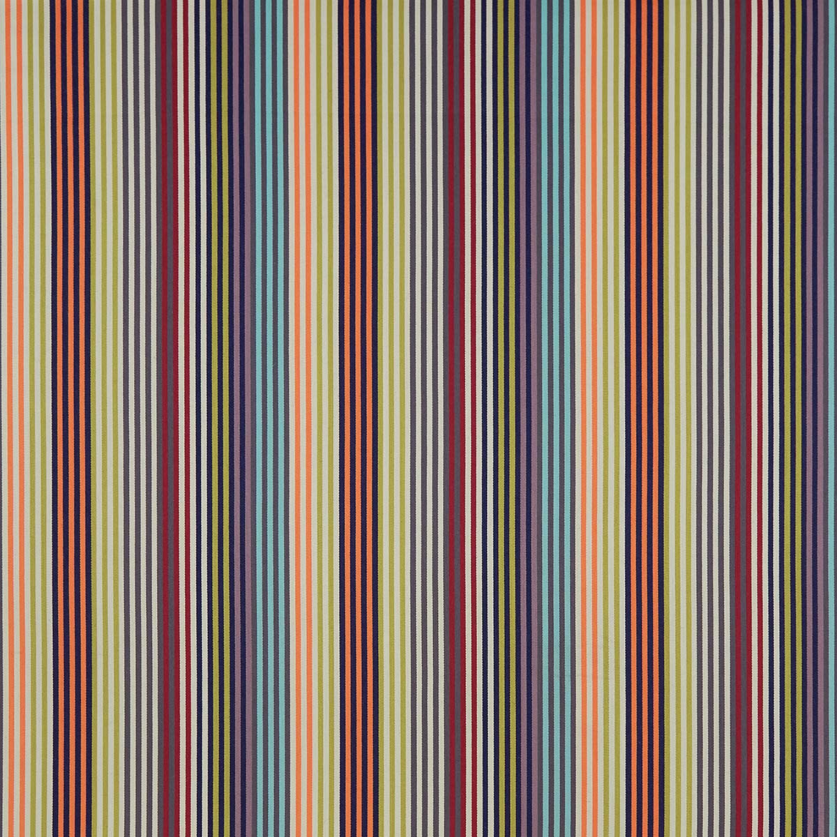 O&L | Supreme Stripe (4 colourways)